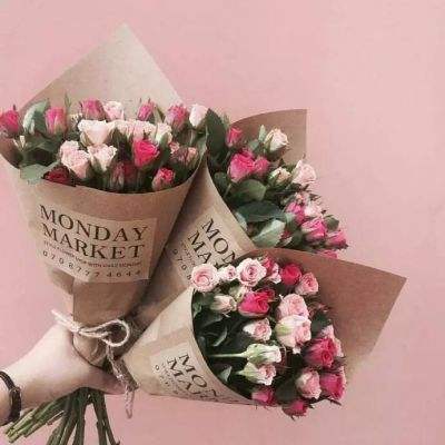 澳门2023全年免费资料大全下载手机版