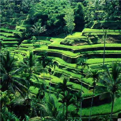 开运·kaiyunapp下载