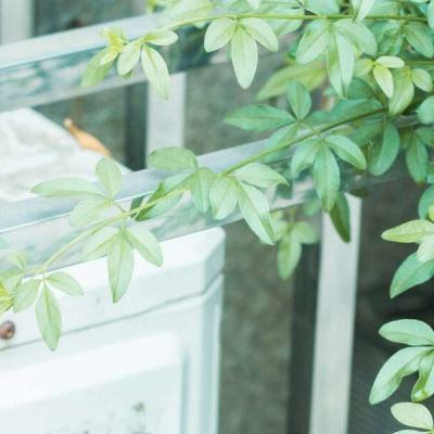 管家婆一码一肖资料大全app下载